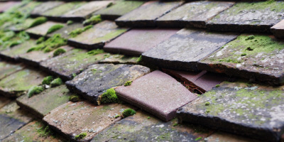 Bishopstone roof repair costs